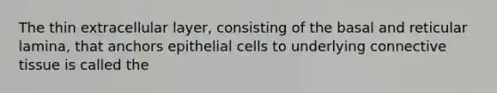 The thin extracellular layer, consisting of the basal and reticular lamina, that anchors epithelial cells to underlying connective tissue is called the