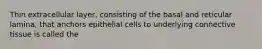 Thin extracellular layer, consisting of the basal and reticular lamina, that anchors epithelial cells to underlying connective tissue is called the