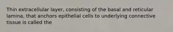 Thin extracellular layer, consisting of the basal and reticular lamina, that anchors epithelial cells to underlying connective tissue is called the