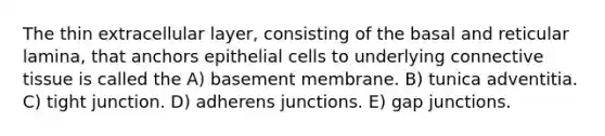 The thin extracellular layer, consisting of the basal and reticular lamina, that anchors epithelial cells to underlying connective tissue is called the A) basement membrane. B) tunica adventitia. C) tight junction. D) adherens junctions. E) gap junctions.