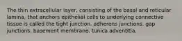 The thin extracellular layer, consisting of the basal and reticular lamina, that anchors epithelial cells to underlying connective tissue is called the tight junction. adherens junctions. gap junctions. basement membrane. tunica adventitia.