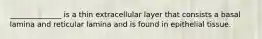 ______________ is a thin extracellular layer that consists a basal lamina and reticular lamina and is found in epithelial tissue.