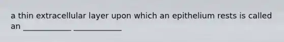 a thin extracellular layer upon which an epithelium rests is called an ____________ ____________