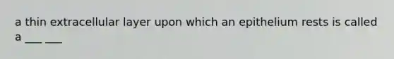 a thin extracellular layer upon which an epithelium rests is called a ___ ___