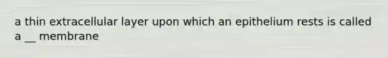 a thin extracellular layer upon which an epithelium rests is called a __ membrane