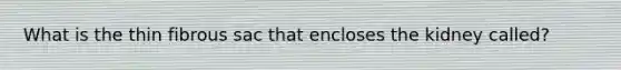 What is the thin fibrous sac that encloses the kidney called?