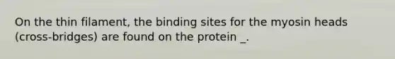 On the thin filament, the binding sites for the myosin heads (cross-bridges) are found on the protein _.