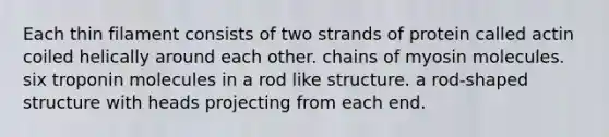 Each thin filament consists of two strands of protein called actin coiled helically around each other. chains of myosin molecules. six troponin molecules in a rod like structure. a rod-shaped structure with heads projecting from each end.