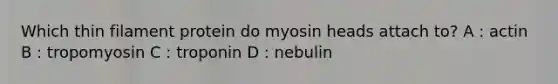 Which thin filament protein do myosin heads attach to? A : actin B : tropomyosin C : troponin D : nebulin