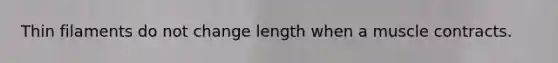 Thin filaments do not change length when a muscle contracts.