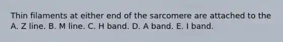 Thin filaments at either end of the sarcomere are attached to the A. Z line. B. M line. C. H band. D. A band. E. I band.