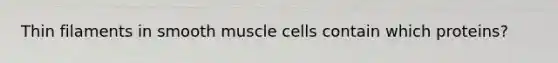 Thin filaments in smooth muscle cells contain which proteins?