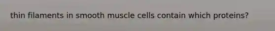 thin filaments in smooth muscle cells contain which proteins?