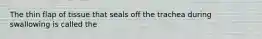 The thin flap of tissue that seals off the trachea during swallowing is called the