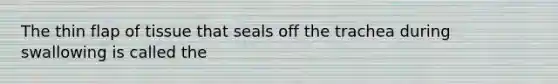 The thin flap of tissue that seals off the trachea during swallowing is called the