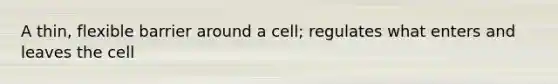 A thin, flexible barrier around a cell; regulates what enters and leaves the cell