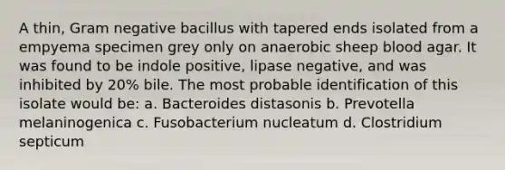 A thin, Gram negative bacillus with tapered ends isolated from a empyema specimen grey only on anaerobic sheep blood agar. It was found to be indole positive, lipase negative, and was inhibited by 20% bile. The most probable identification of this isolate would be: a. Bacteroides distasonis b. Prevotella melaninogenica c. Fusobacterium nucleatum d. Clostridium septicum