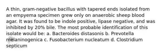 A thin, gram-negative bacillus with tapered ends isolated from an empyema specimen grew only on anaerobic sheep blood agar. It was found to be indole positive, lipase negative, and was inhibited by 20% bile. The most probable identification of this isolate would be: a. Bacteroides distasonis b. Prevotella melaninogenica c. Fusobacterium nucleatum d. Clostridium septicum