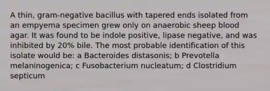 A thin, gram-negative bacillus with tapered ends isolated from an empyema specimen grew only on anaerobic sheep blood agar. It was found to be indole positive, lipase negative, and was inhibited by 20% bile. The most probable identification of this isolate would be: a Bacteroides distasonis; b Prevotella melaninogenica; c Fusobacterium nucleatum; d Clostridium septicum