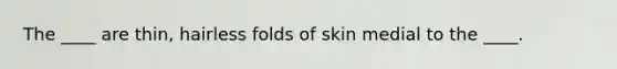 The ____ are thin, hairless folds of skin medial to the ____.