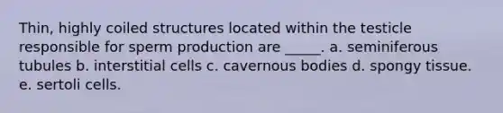 Thin, highly coiled structures located within the testicle responsible for sperm production are _____. a. seminiferous tubules b. interstitial cells c. cavernous bodies d. spongy tissue. e. sertoli cells.