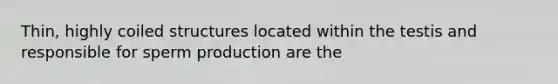 Thin, highly coiled structures located within the testis and responsible for sperm production are the