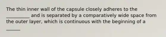 The thin inner wall of the capsule closely adheres to the __________ and is separated by a comparatively wide space from the outer layer, which is continuous with the beginning of a ______