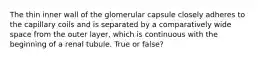 The thin inner wall of the glomerular capsule closely adheres to the capillary coils and is separated by a comparatively wide space from the outer layer, which is continuous with the beginning of a renal tubule. True or false?