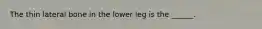 The thin lateral bone in the lower leg is the ______.