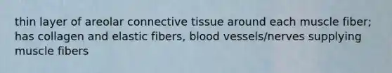 thin layer of areolar connective tissue around each muscle fiber; has collagen and elastic fibers, blood vessels/nerves supplying muscle fibers