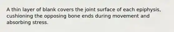 A thin layer of blank covers the joint surface of each epiphysis, cushioning the opposing bone ends during movement and absorbing stress.