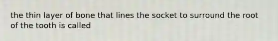 the thin layer of bone that lines the socket to surround the root of the tooth is called