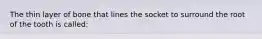 The thin layer of bone that lines the socket to surround the root of the tooth is called: