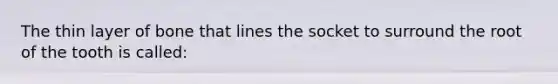 The thin layer of bone that lines the socket to surround the root of the tooth is called: