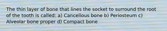 The thin layer of bone that lines the socket to surround the root of the tooth is called: a) Cancellous bone b) Periosteum c) Alveolar bone proper d) Compact bone