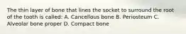 The thin layer of bone that lines the socket to surround the root of the tooth is called: A. Cancellous bone B. Periosteum C. Alveolar bone proper D. Compact bone