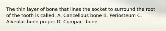 The thin layer of bone that lines the socket to surround the root of the tooth is called: A. Cancellous bone B. Periosteum C. Alveolar bone proper D. Compact bone