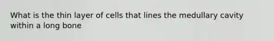 What is the thin layer of cells that lines the medullary cavity within a long bone