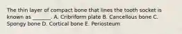 The thin layer of compact bone that lines the tooth socket is known as _______. A. Cribriform plate B. Cancellous bone C. Spongy bone D. Cortical bone E. Periosteum