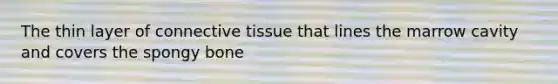 The thin layer of connective tissue that lines the marrow cavity and covers the spongy bone