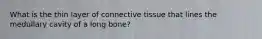 What is the thin layer of connective tissue that lines the medullary cavity of a long bone?