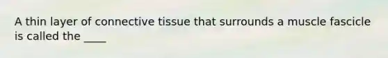 A thin layer of connective tissue that surrounds a muscle fascicle is called the ____