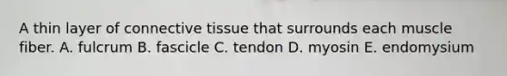 A thin layer of connective tissue that surrounds each muscle fiber. A. fulcrum B. fascicle C. tendon D. myosin E. endomysium