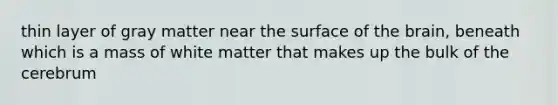 thin layer of gray matter near the surface of the brain, beneath which is a mass of white matter that makes up the bulk of the cerebrum