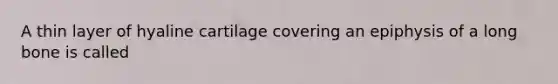 A thin layer of hyaline cartilage covering an epiphysis of a long bone is called