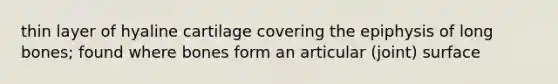 thin layer of hyaline cartilage covering the epiphysis of long bones; found where bones form an articular (joint) surface