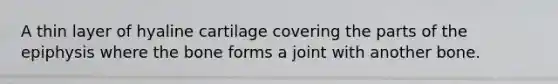 A thin layer of hyaline cartilage covering the parts of the epiphysis where the bone forms a joint with another bone.