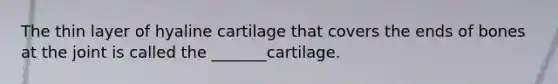 The thin layer of hyaline cartilage that covers the ends of bones at the joint is called the _______cartilage.