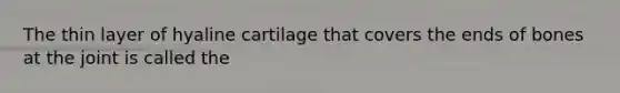 The thin layer of hyaline cartilage that covers the ends of bones at the joint is called the