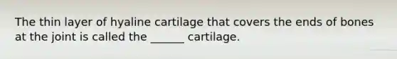 The thin layer of hyaline cartilage that covers the ends of bones at the joint is called the ______ cartilage.